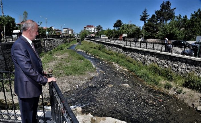 İnci kefali balığını koruma çalışmaları