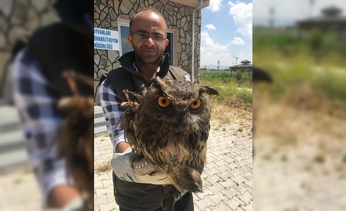 Van’da yaralı kuşlar tedavi altına alındı