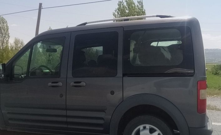 Van’da dana Ferhat’ı anımsatan görüntüler