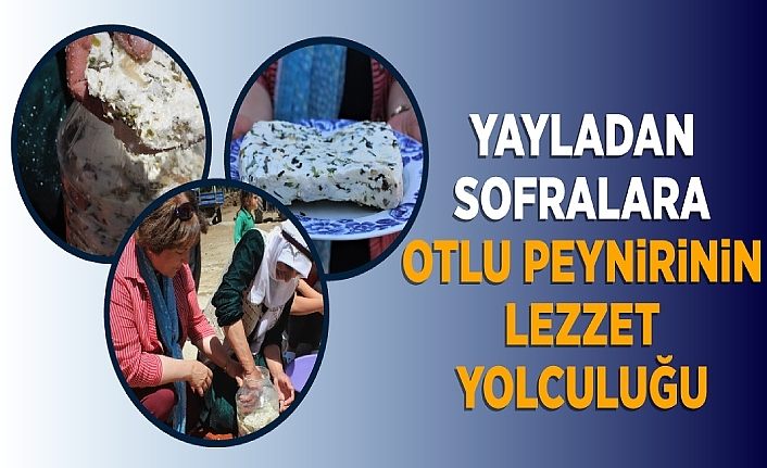 Yayladan sofralara otlu peynirinin lezzet yolculuğu