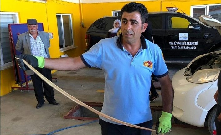 Araca giren yılan korkuttu