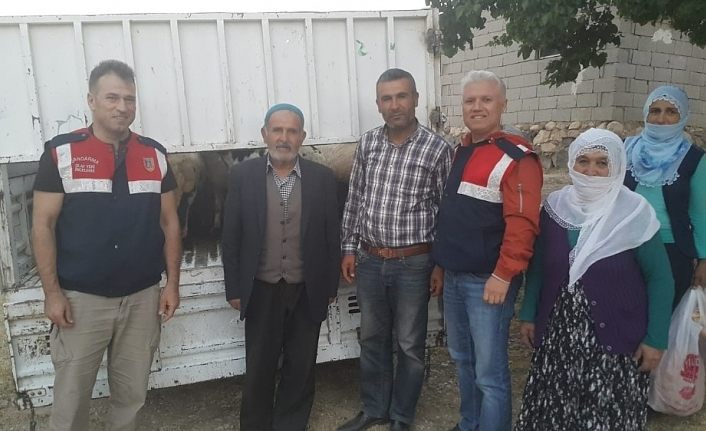 Hayvan hırsızları jandarmadan kaçamadı