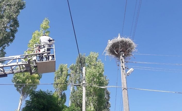 İtfaiye ekipleri, yuvadan düşen leylek için seferber oldu