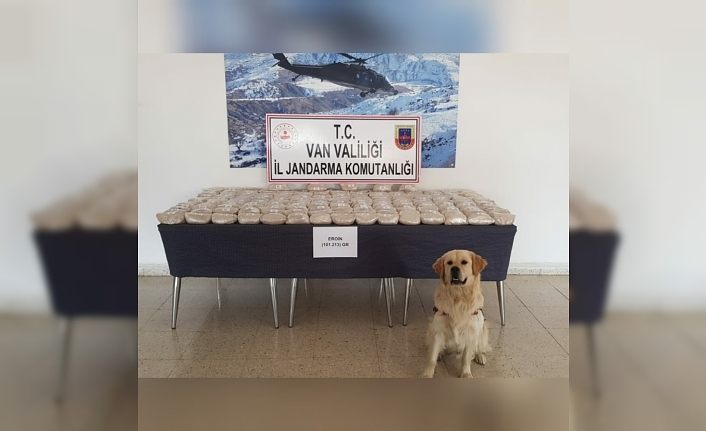 Koyun yüklü kamyonette 101 kilo 213 gram eroin ele geçirildi