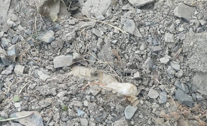Van’da terör operasyonu