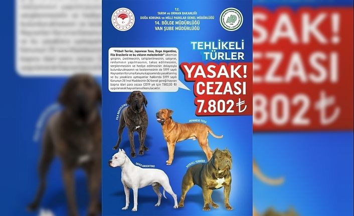 Van dkmp tehlikeli ve yasak olan köpek türlerini açıkladı