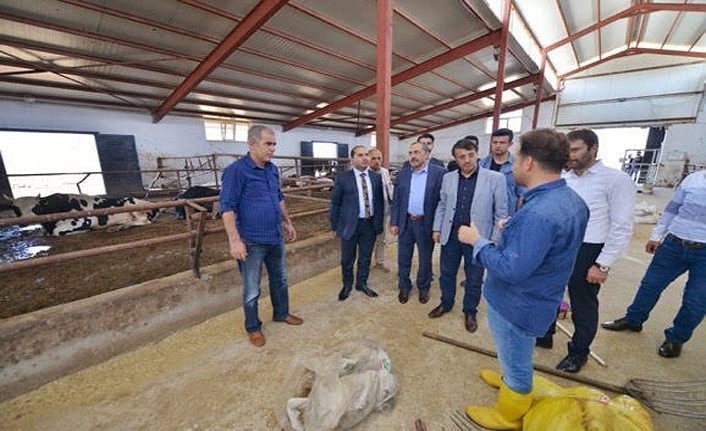 AK Parti  Van İl Teşkilatı heyeti Gevaş'ı ziyaret etti