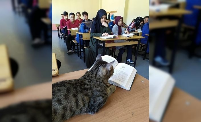 Okuma saatinin sevimli misafiri