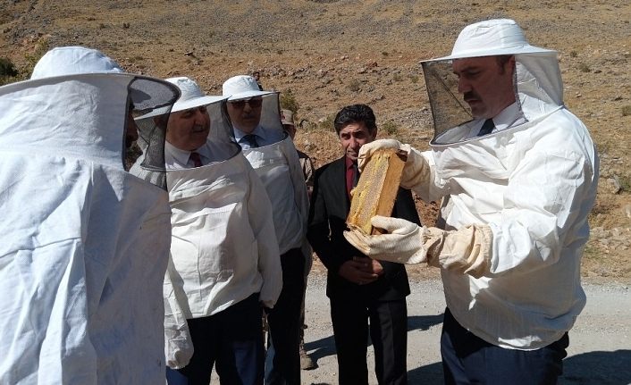 Van’da verimli bal hasadı başladı