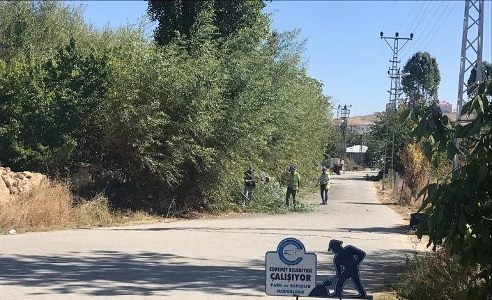 Edremit’te kuru ve tehlike arz eden ağaçlar budanıyor