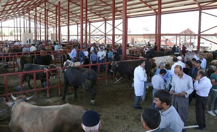 Van’da canlı hayvan pazarı için önemli kararlar alındı