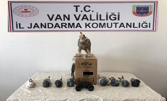 Yırtıcı kuş avı yapan şahsa 20 bin 387 liralık büyük ceza