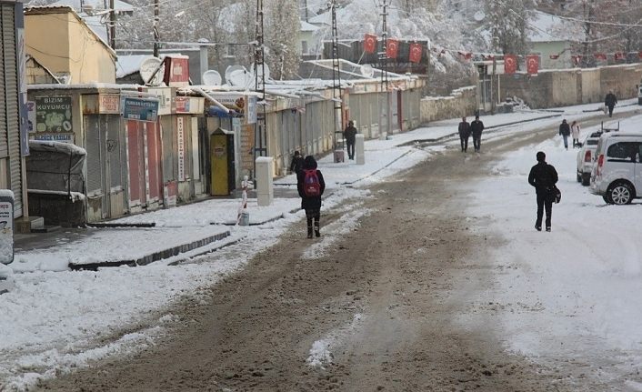 Van’da kar yağışı çevreyi beyaza bürüdü