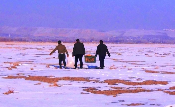 Erciş Belediyesi, yaban hayvanları için doğaya yem bıraktı