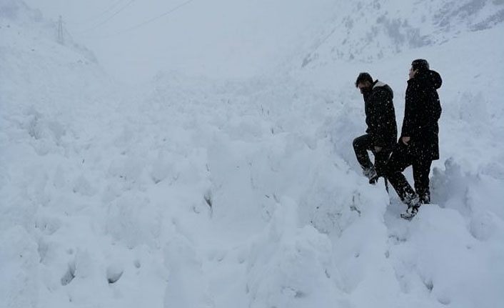Çatak Belediye Başkanı Şeylan, 'Çığda can ve mal kaybımız yok'