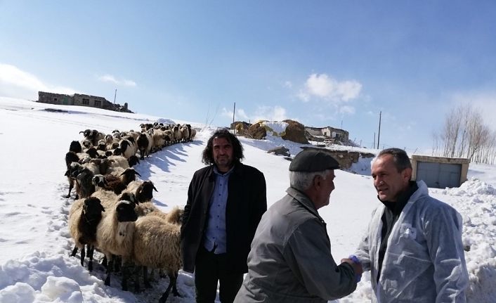 Van Bölgesi Veteriner Hekimleri Odası veteriner hekimleri deprem bölgesinde