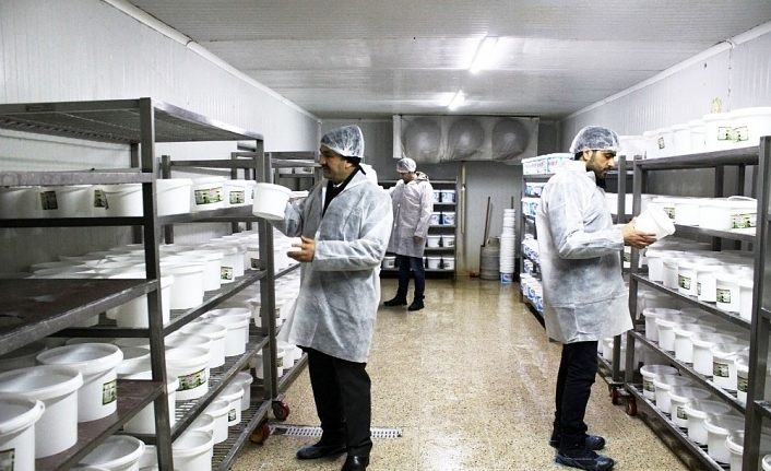 Van’da gıda denetimi seferberliği