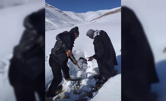 VASKİ'den karlı dağlarda içme suyu mesaisi