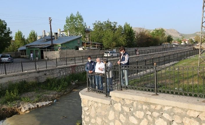 Dereye doğru göç eden inci kefalleri için komisyon kuruldu