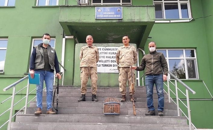 Mutki’de ’canlı mühre’ olarak kullanılan 1 keklik ele geçirildi
