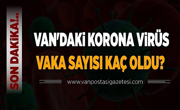 Son Dakika!.. Van'daki korona virüs vaka sayısı kaç oldu? 01 Mayıs 2020