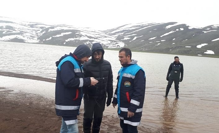 Süphan Gölü’nde balık ölümleri