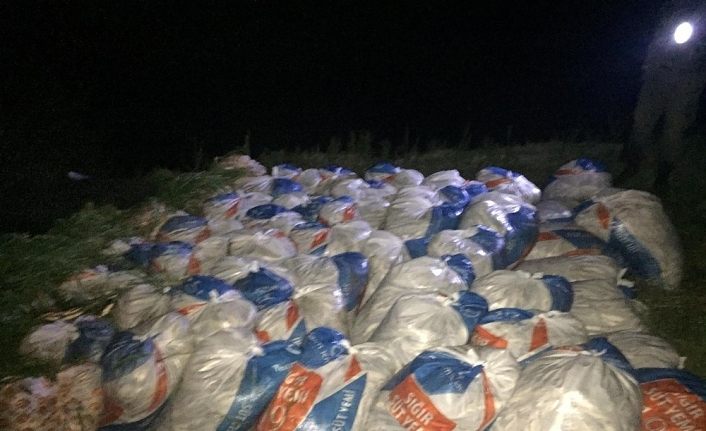 Van Gölü’nde kaçak avlanmış 16 ton ölü balık ele geçirildi