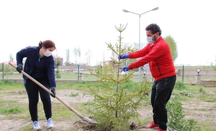 Van`da 14 günlük karantinada kalanlar fidan dikti