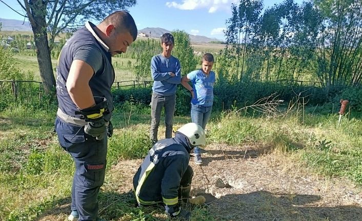 Mahsur kalan yavru köpeği itfaiye ekibi kurtardı