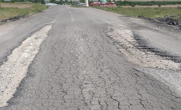 Van Mollakasım ve Alaköy yolu köstebek yuvasına döndü