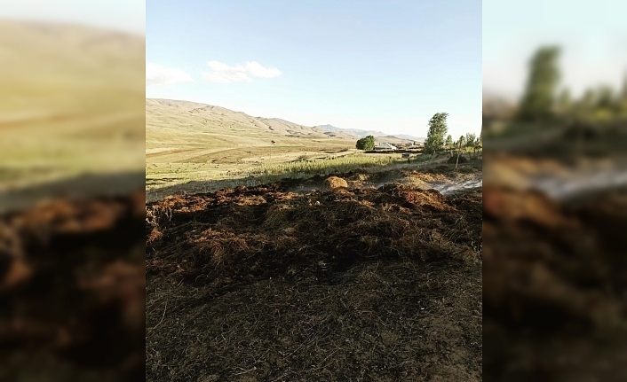 Muradiye’de ot yangını