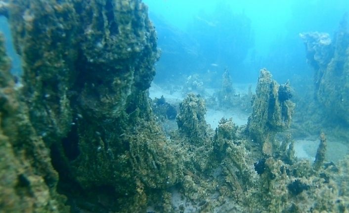 800 bin yıllık geçmişe sahip Van Gölü’nün derinliklerindeki kalıntılar gün yüzüne çıkartılıyor