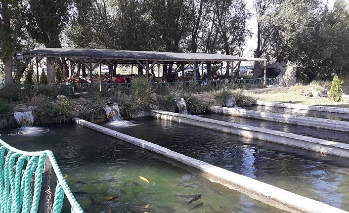 Gürpınar’daki Şifa Alabalık Tesisleri’ne yoğun ilgi…