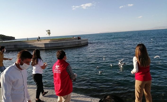 İpekyolu Gençlik Merkezi gönüllülerinden örnek davranış