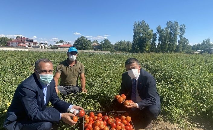 Milletvekili Arvas çiftçileri tarlada ziyaret etti