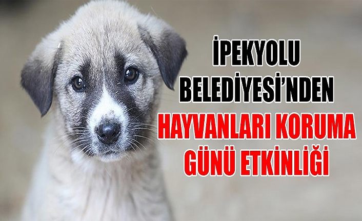 İpekyolu Belediyesi’nden hayvanları koruma günü etkinliği