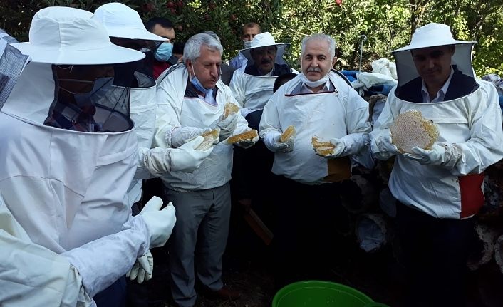 Van'da 6. Geleneksel Organik Karakovan Bal Kesimi etkinliği