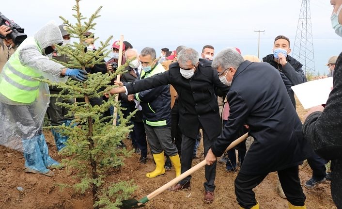 Van Edremit’te 2 bin 500 fidan toprakla buluşturuldu