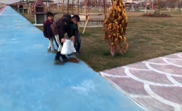 Sokak hayvanlarını besleyen çocuklar yürek ısıttı