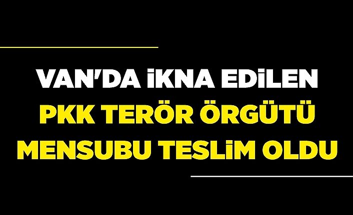 Van'da ikna edilen PKK terör örgütü mensubu teslim oldu