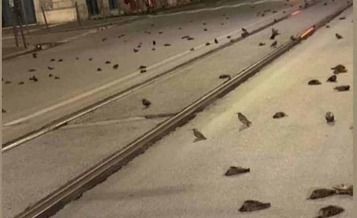 Ak Parti Bahçesaray İlçe Başkanı Sabırlı’dan havai fişek tepkisi 