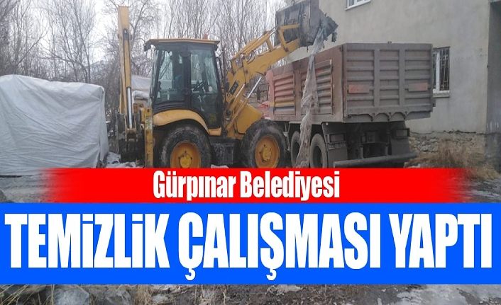 Gürpınar Belediyesi, temizlik çalışması yaptı