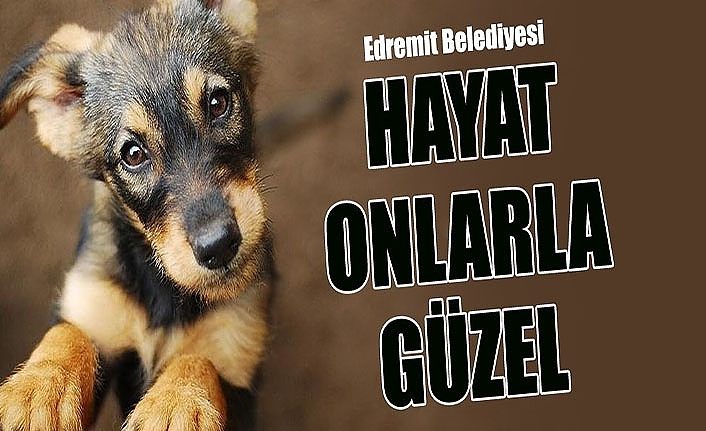 Edremit Belediyesi: Hayat onlarla güzel