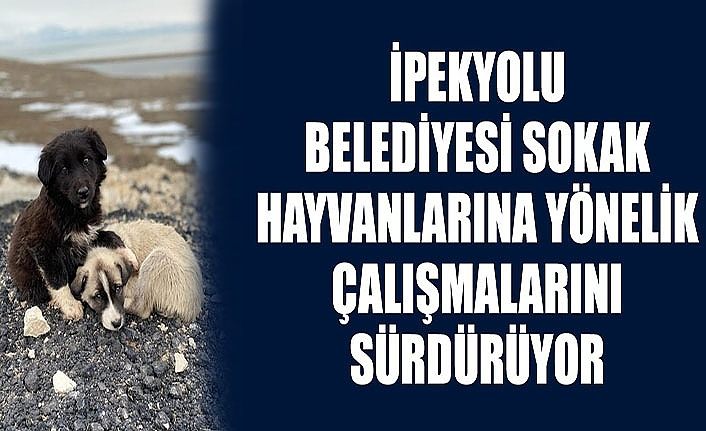 İpekyolu Belediyesi Sokak hayvanlarına yönelik çalışmalarını sürdürüyor