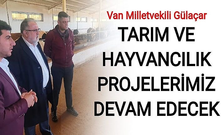 Van Milletvekili Gülaçar: Tarım ve Hayvancılık projelerimiz devam edecek