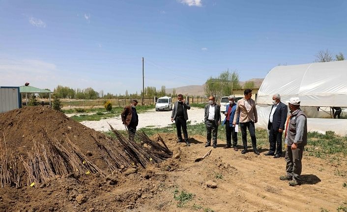 Gürpınar Belediyesinden ücretsiz fidan dağıtımı