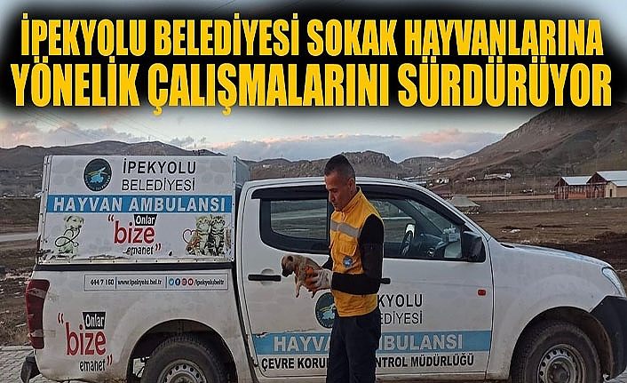 İpekyolu Belediyesi sokak hayvanlarına yönelik çalışmalarını sürdürüyor