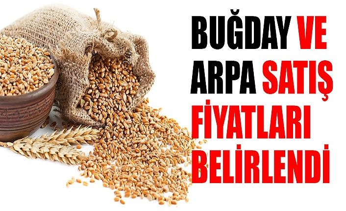 Buğday ve Arpa Satış Fiyatları Belirlendi