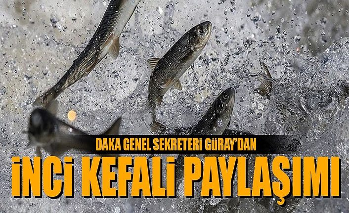DAKA Genel Sekreteri Güray’dan inci kefali paylaşımı