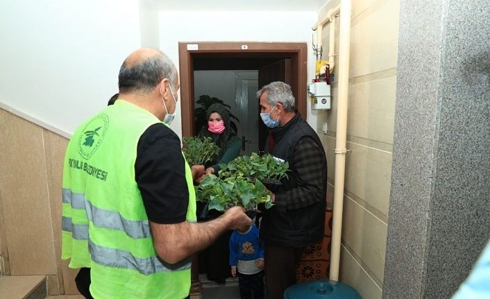 İpekyolu Belediyesi balkonları bahçeye çeviriyor